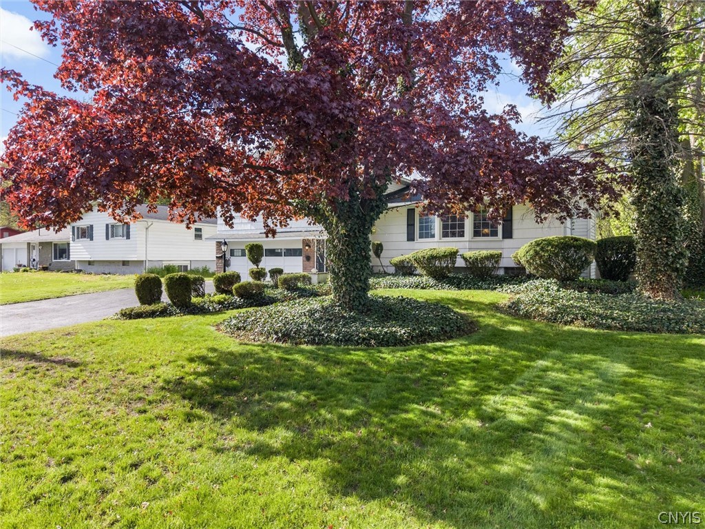 210 Colony Park Drive