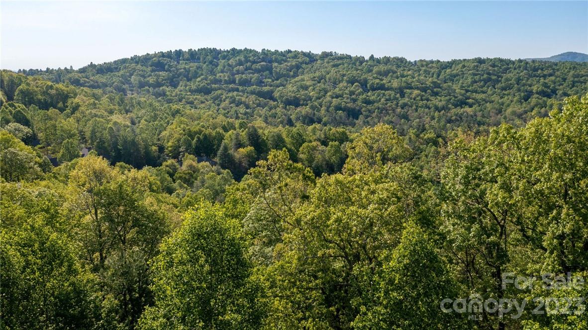 lot 395 Roaring Fork Lane