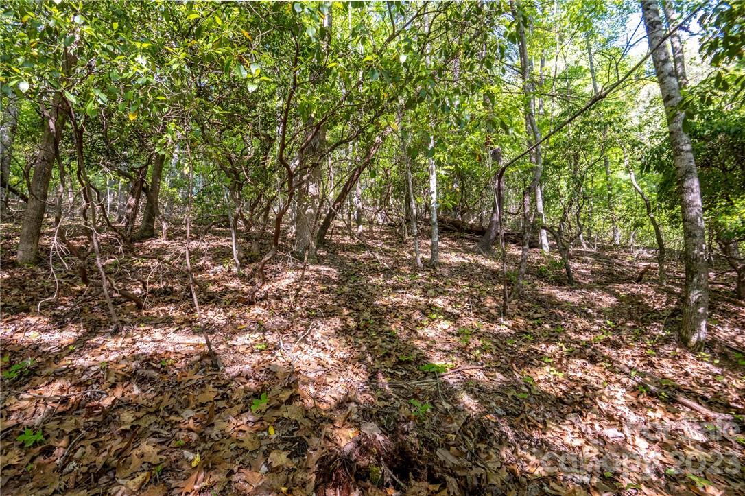 lot 395 Roaring Fork Lane