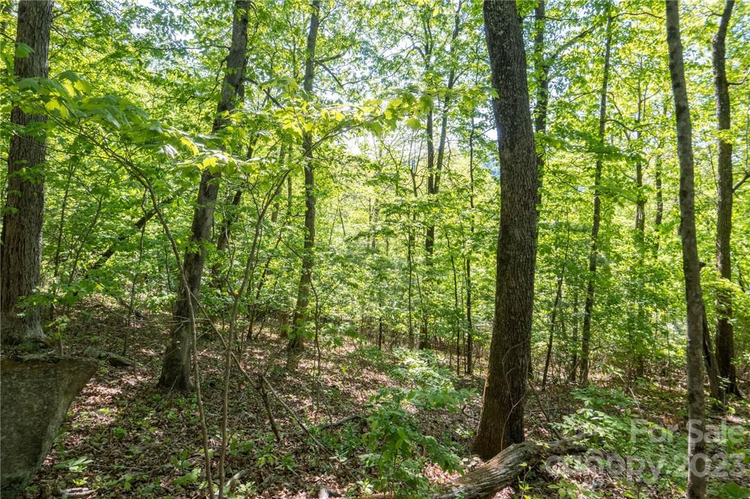 lot 395 Roaring Fork Lane