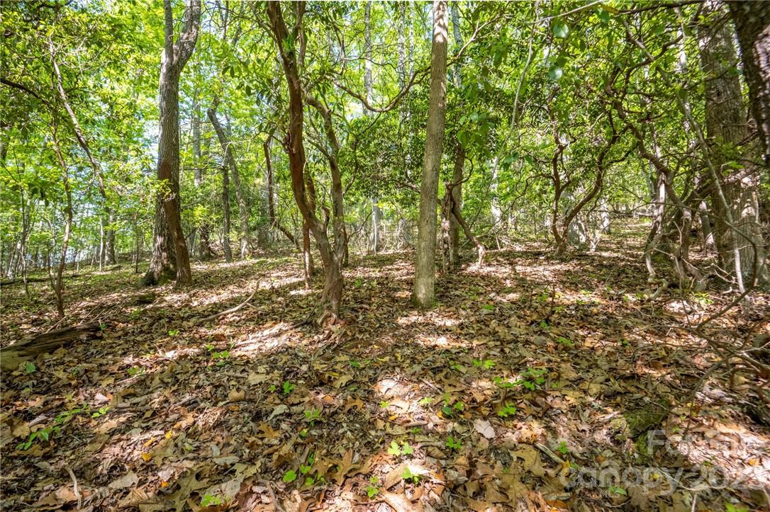 lot 395 Roaring Fork Lane