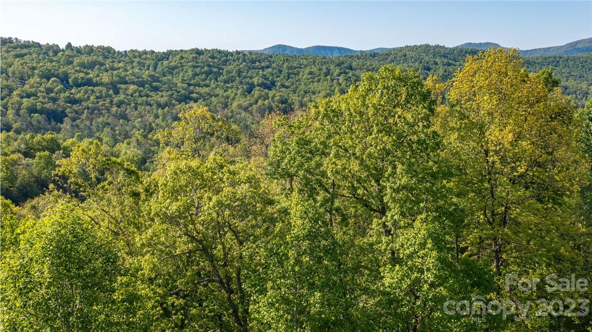 lot 395 Roaring Fork Lane