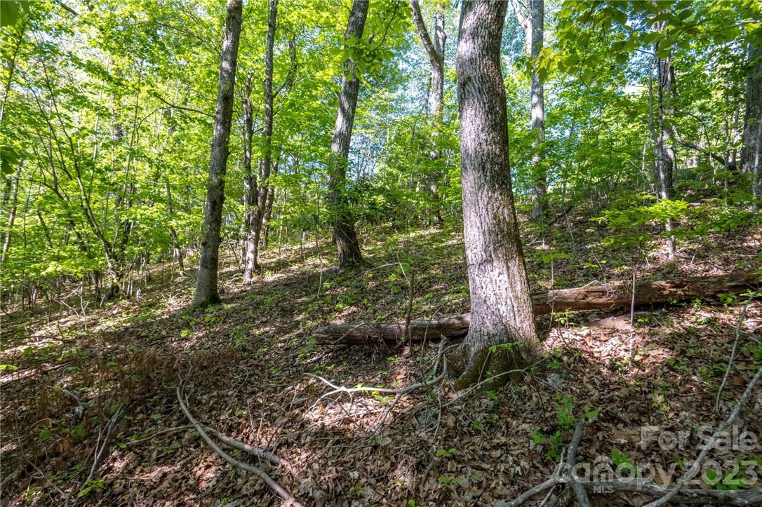 lot 395 Roaring Fork Lane