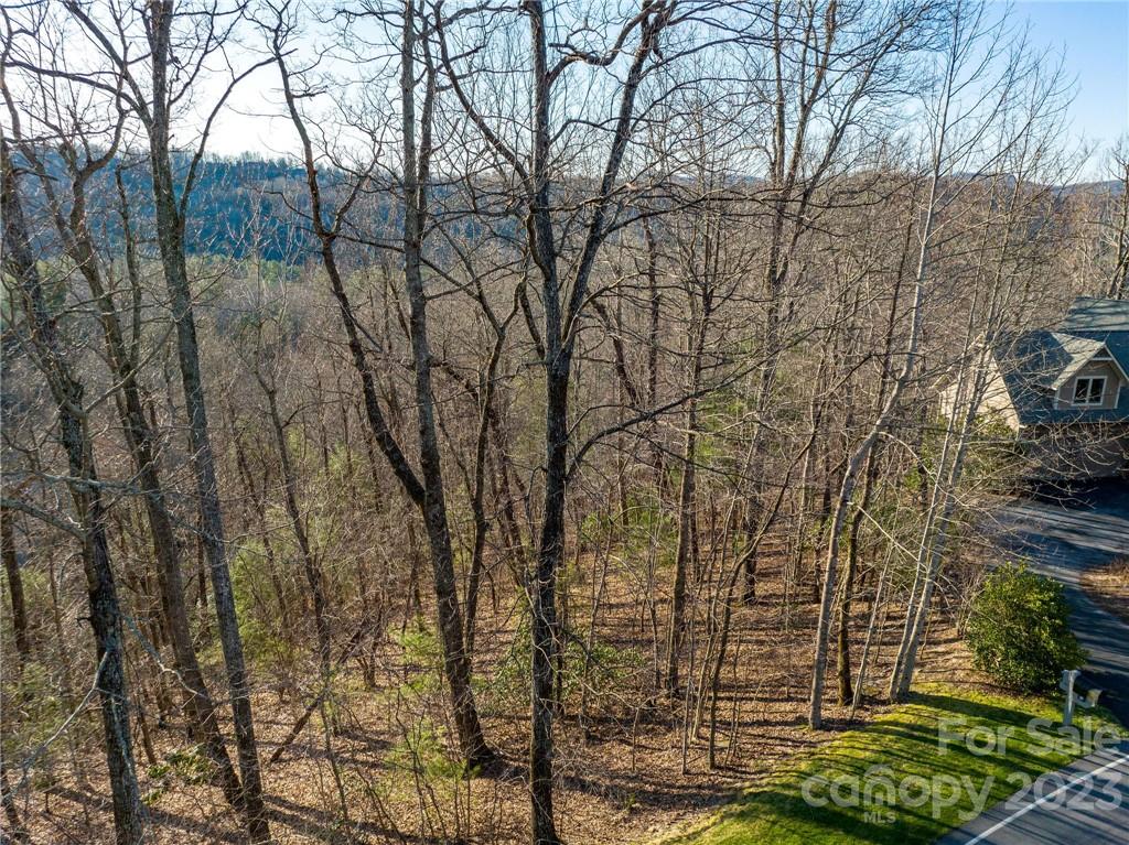 lot 395 Roaring Fork Lane