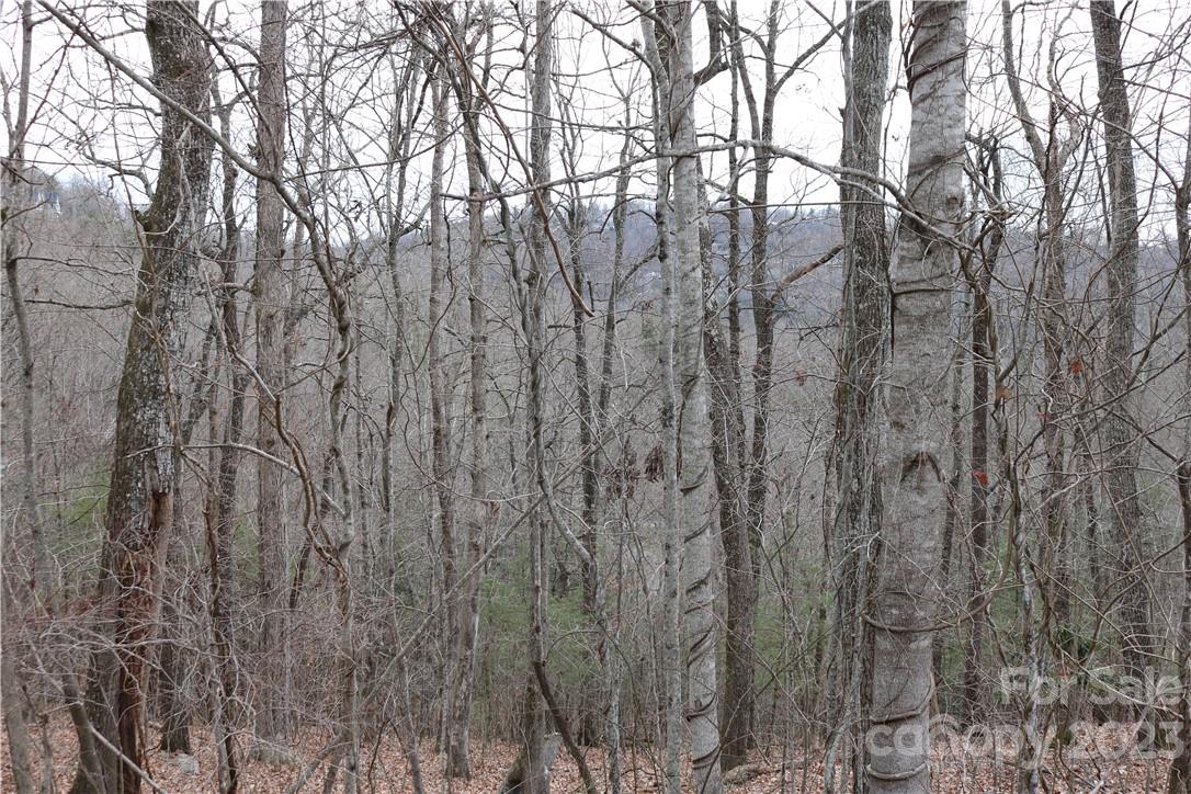 lot 395 Roaring Fork Lane