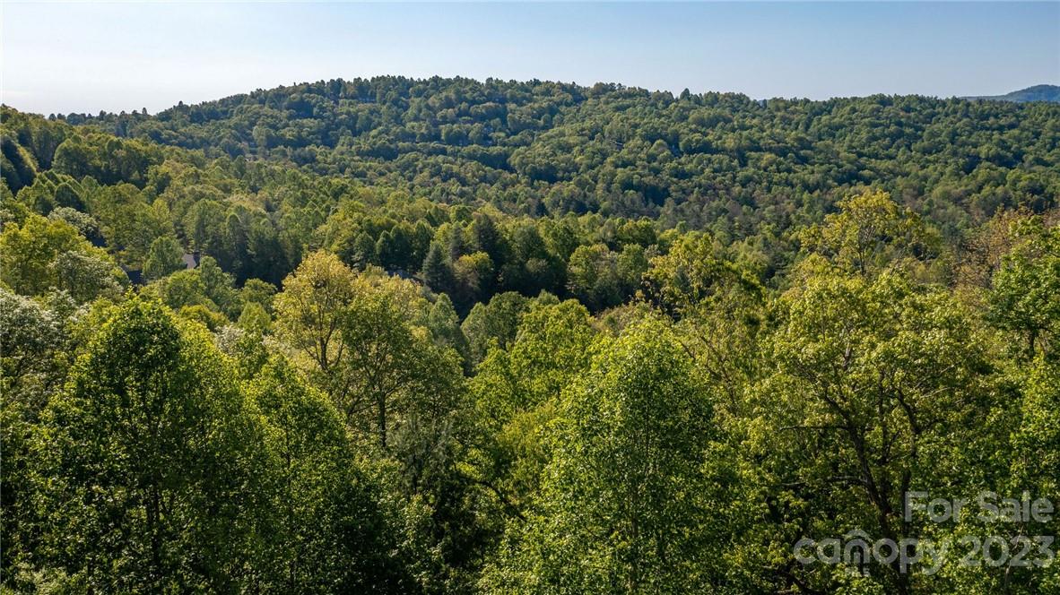 lot 395 Roaring Fork Lane