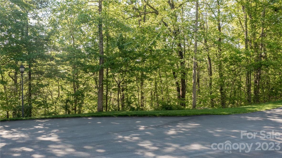 lot 395 Roaring Fork Lane