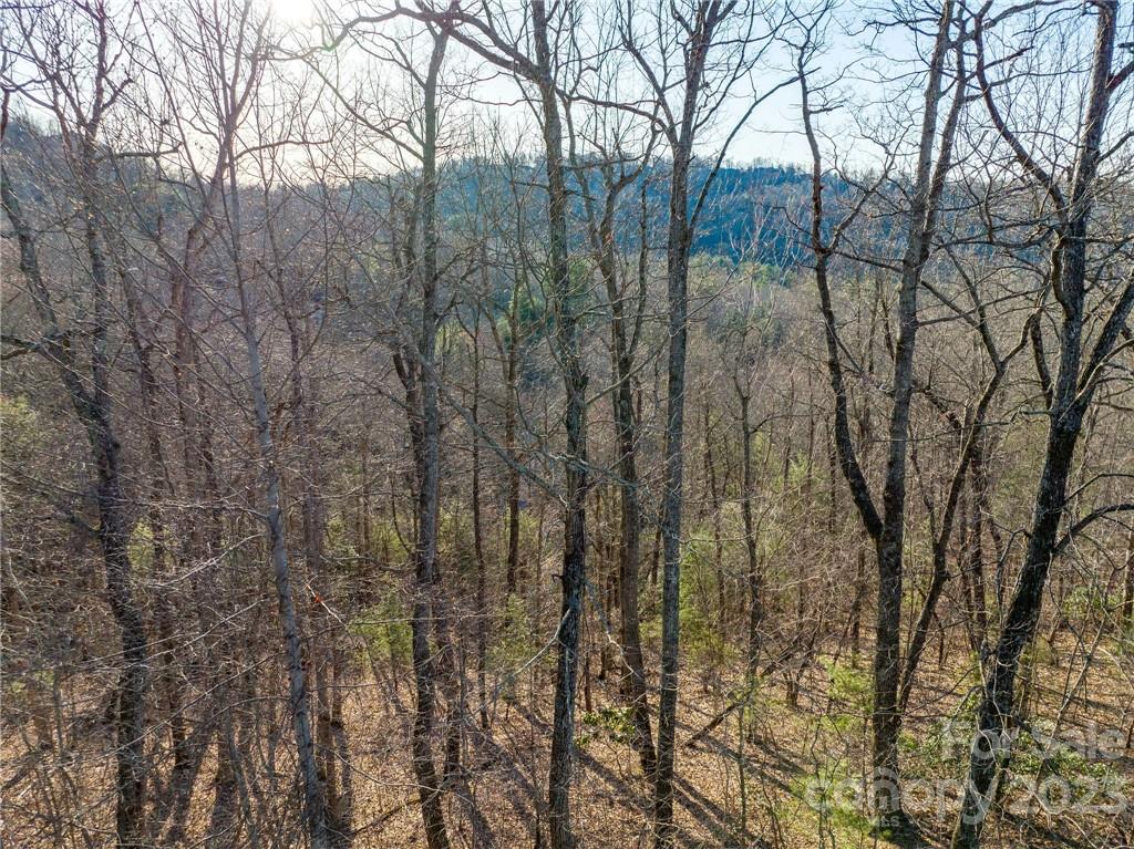 lot 395 Roaring Fork Lane