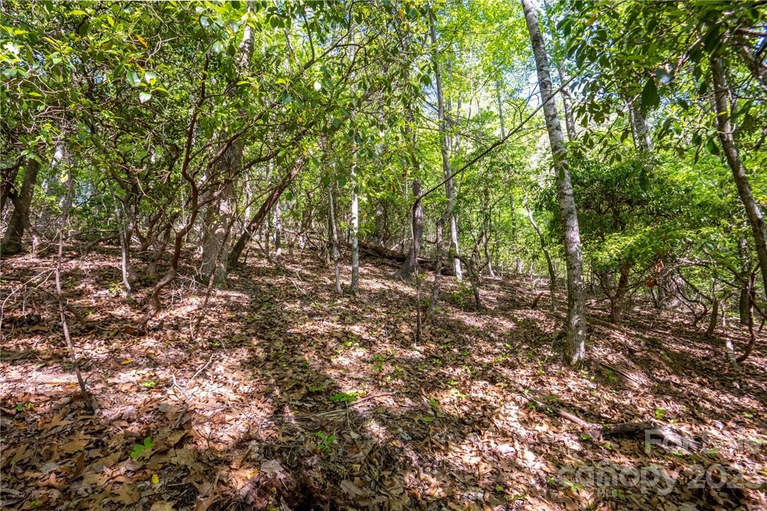 lot 395 Roaring Fork Lane