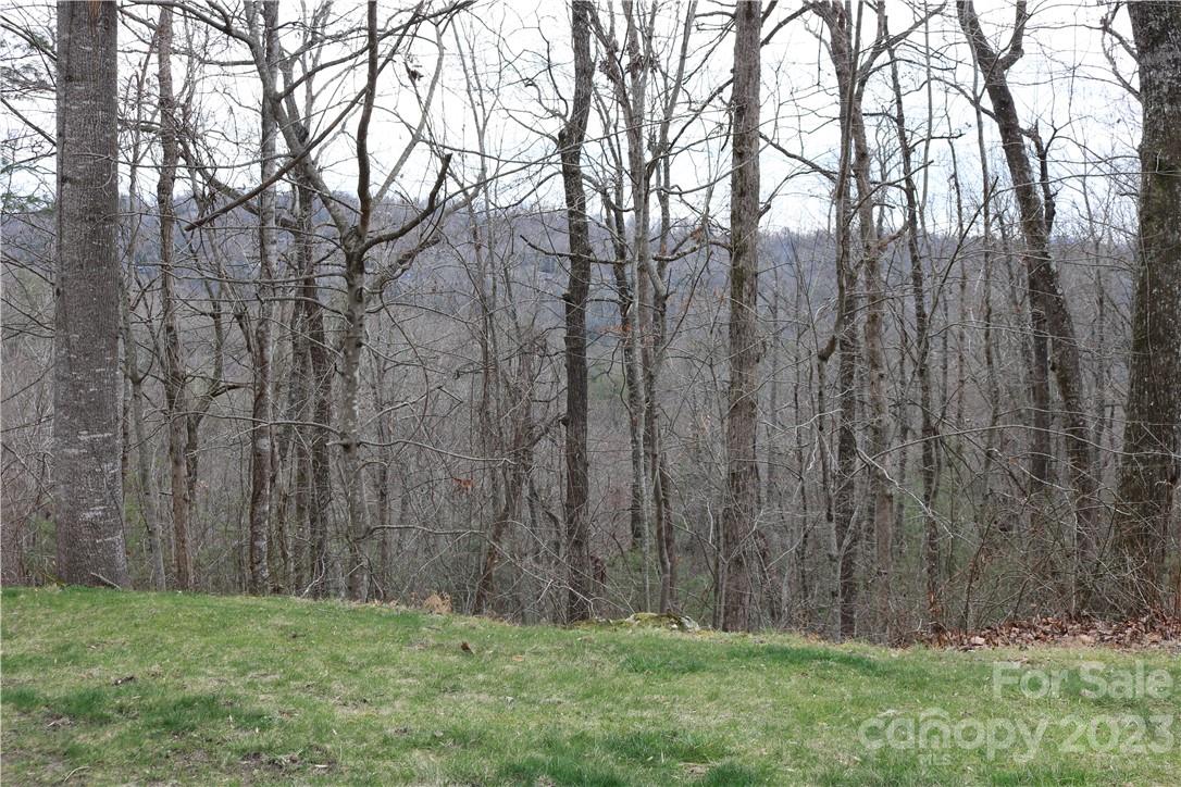 lot 395 Roaring Fork Lane