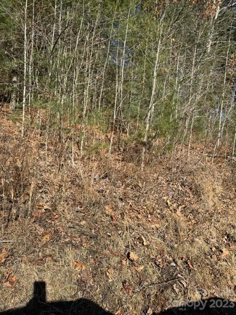 0 Cabin Creek Road