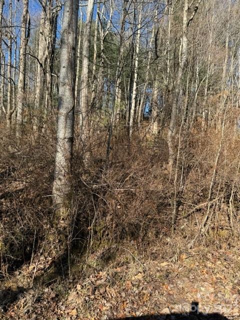 0 Cabin Creek Road