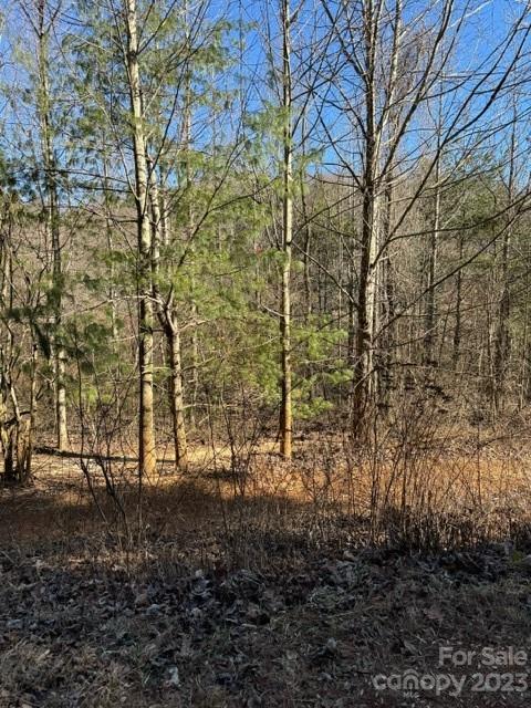 0 Cabin Creek Road