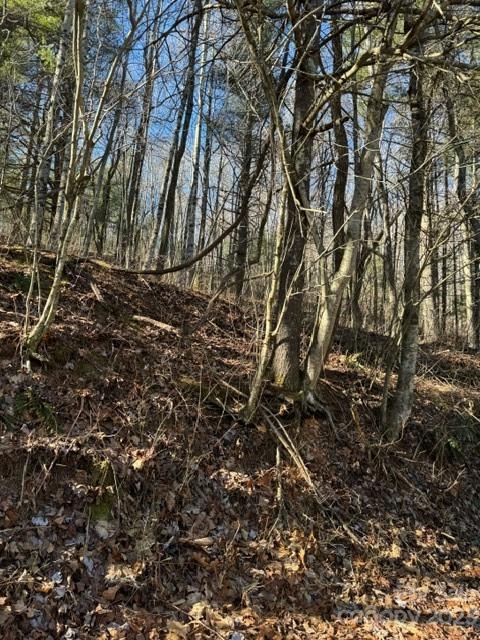 0 Cabin Creek Road