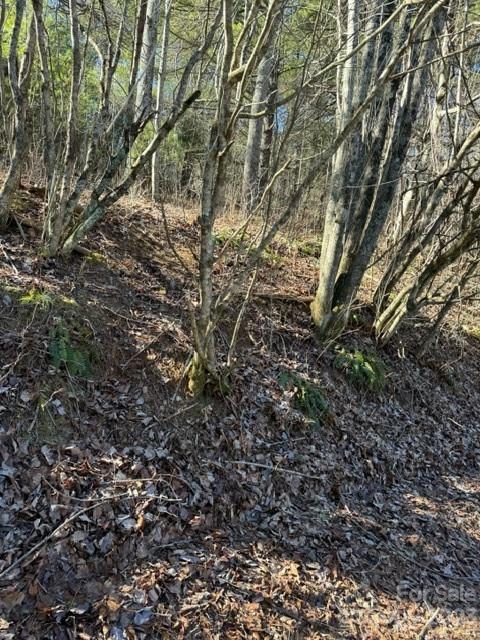 0 Cabin Creek Road