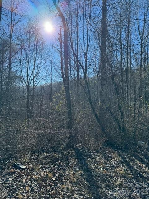 0 Cabin Creek Road