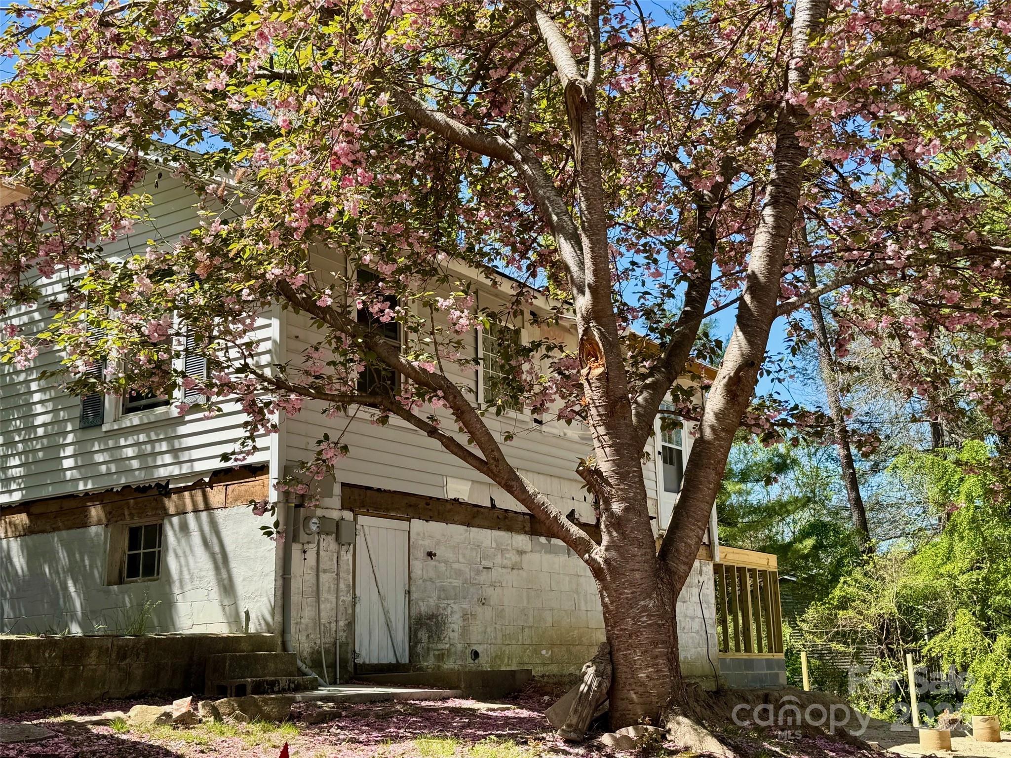 1812 Lower Ridgewood Boulevard