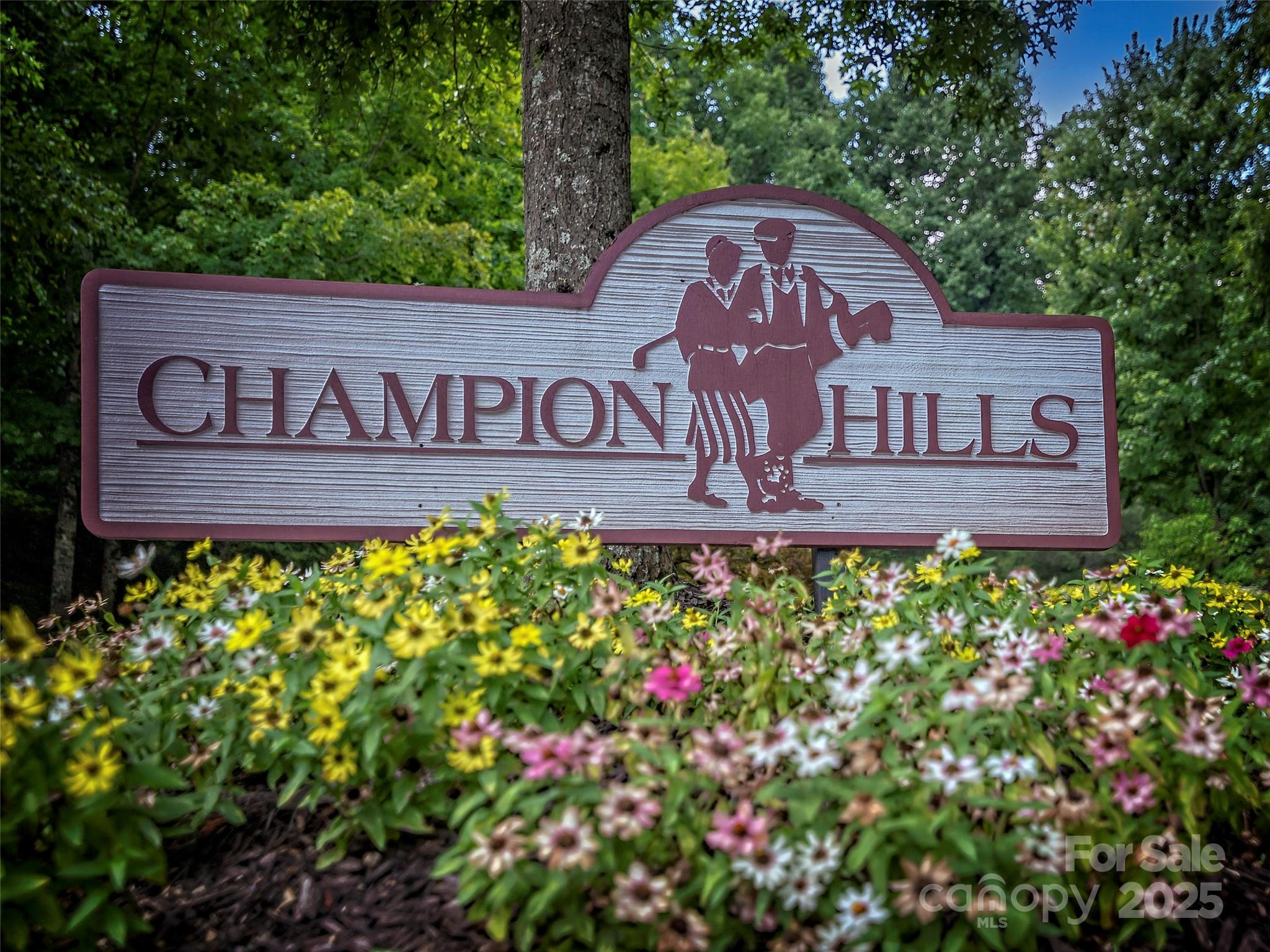 117 Little Cherokee Ridge