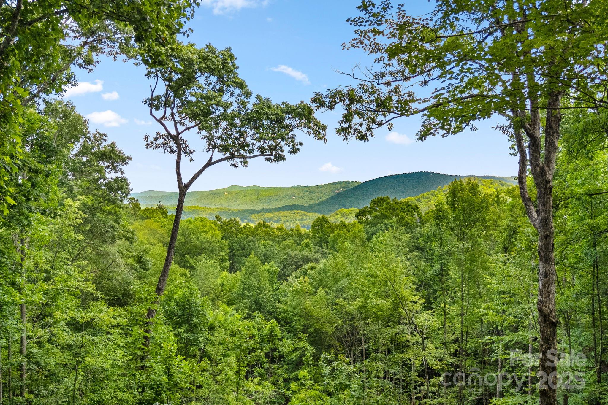 492 Henry Mountain Road