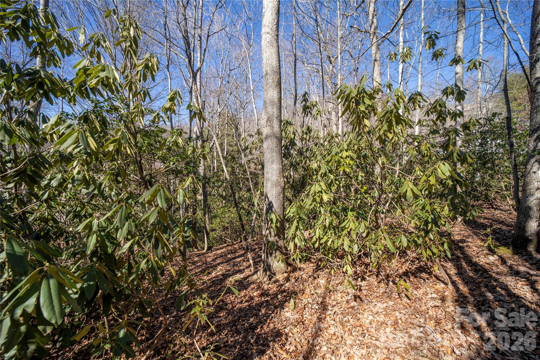 2310 Golf Club Court