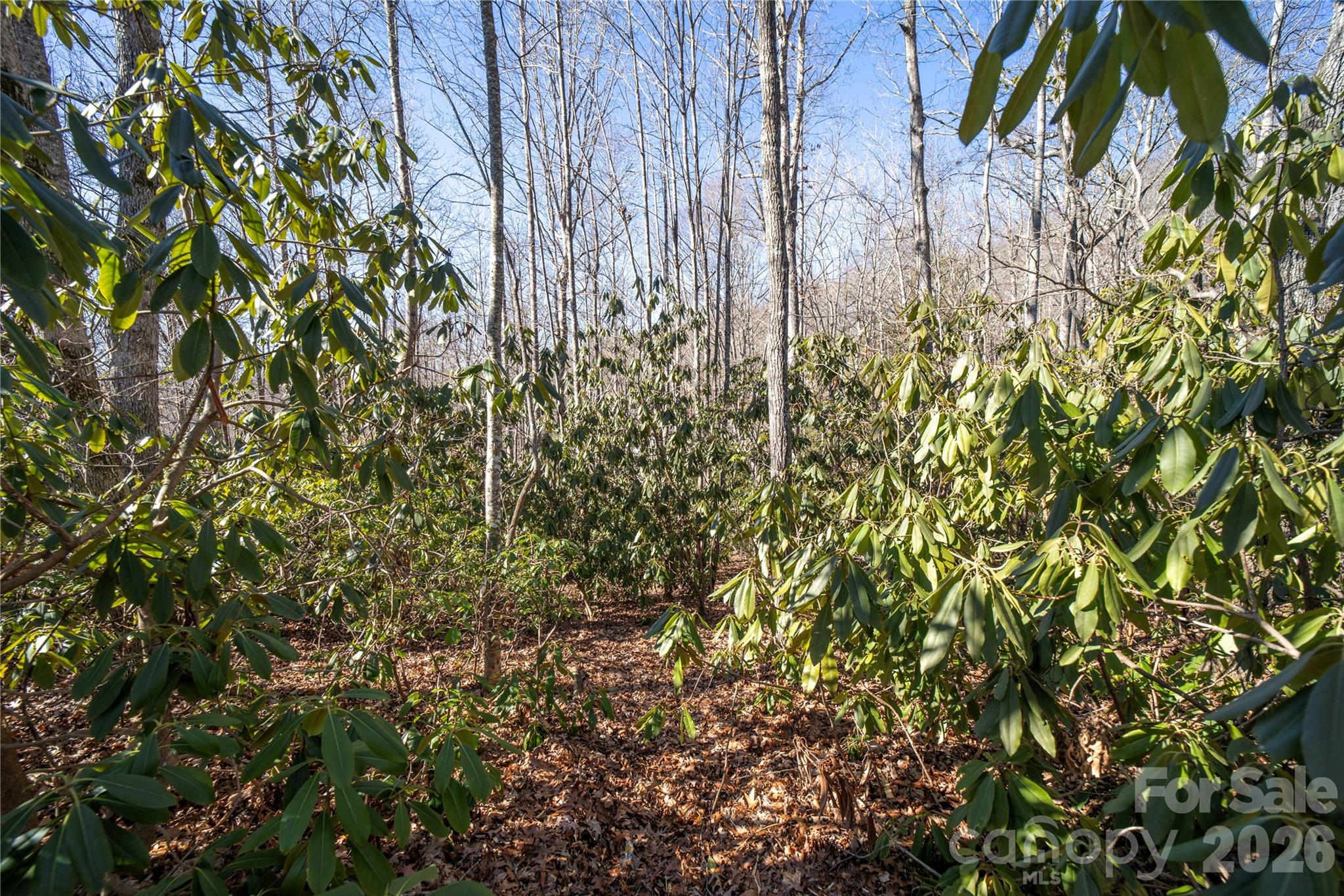 2310 Golf Club Court