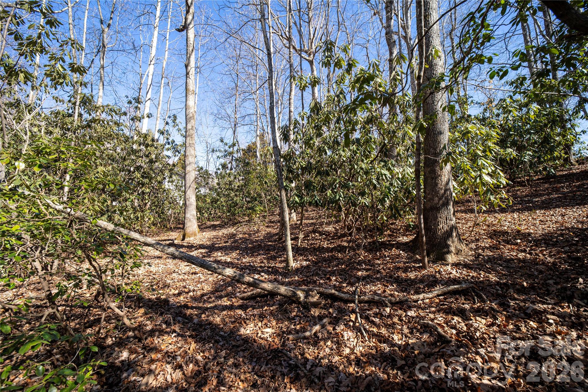 2310 Golf Club Court
