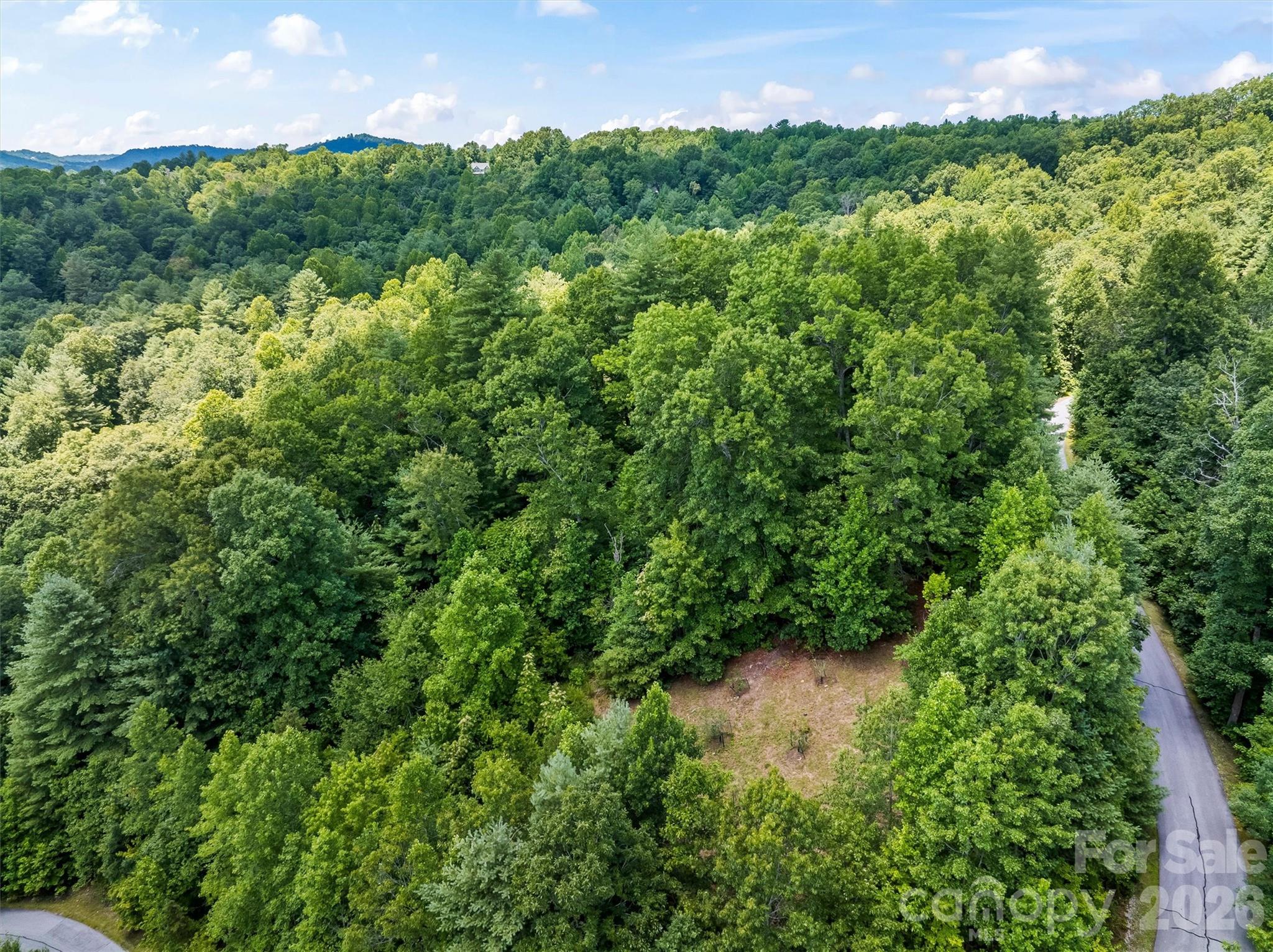 Lot 21 Big Raven Lane