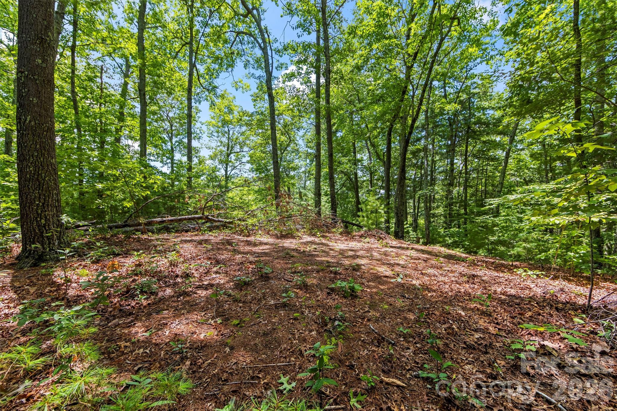 Lot 21 Big Raven Lane