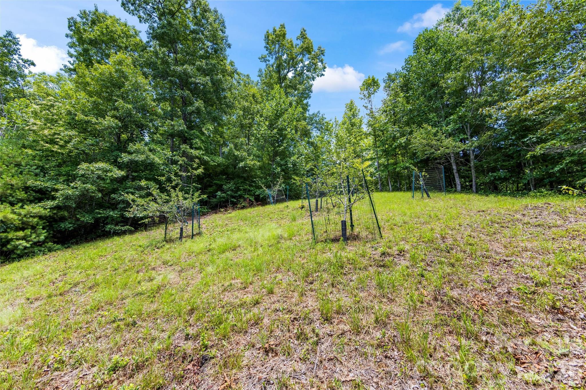 Lot 21 Big Raven Lane