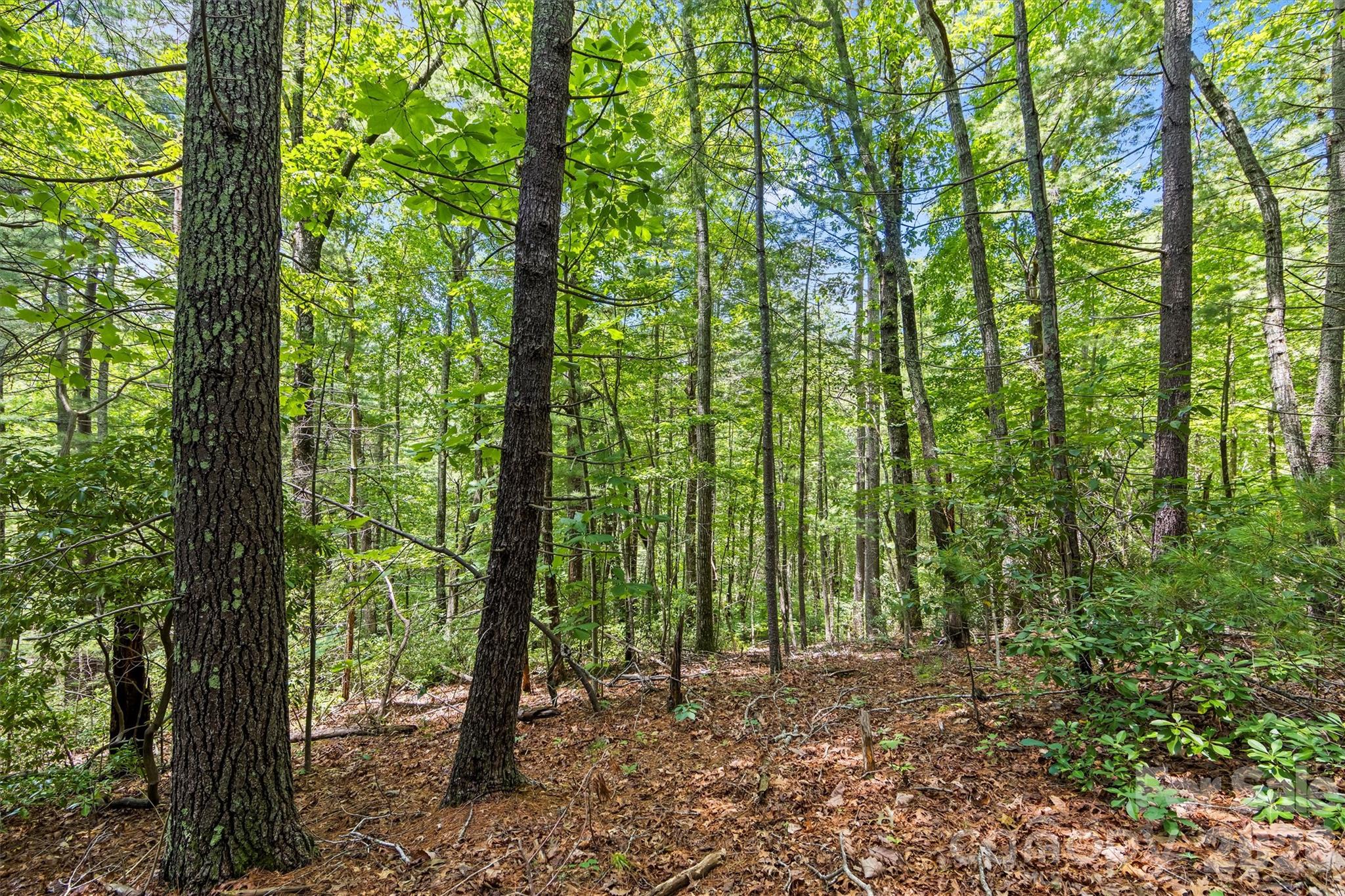 Lot 21 Big Raven Lane