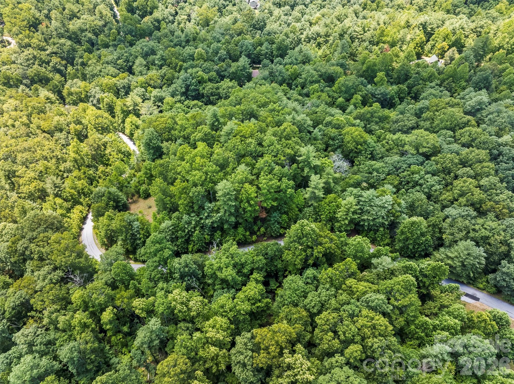 Lot 21 Big Raven Lane