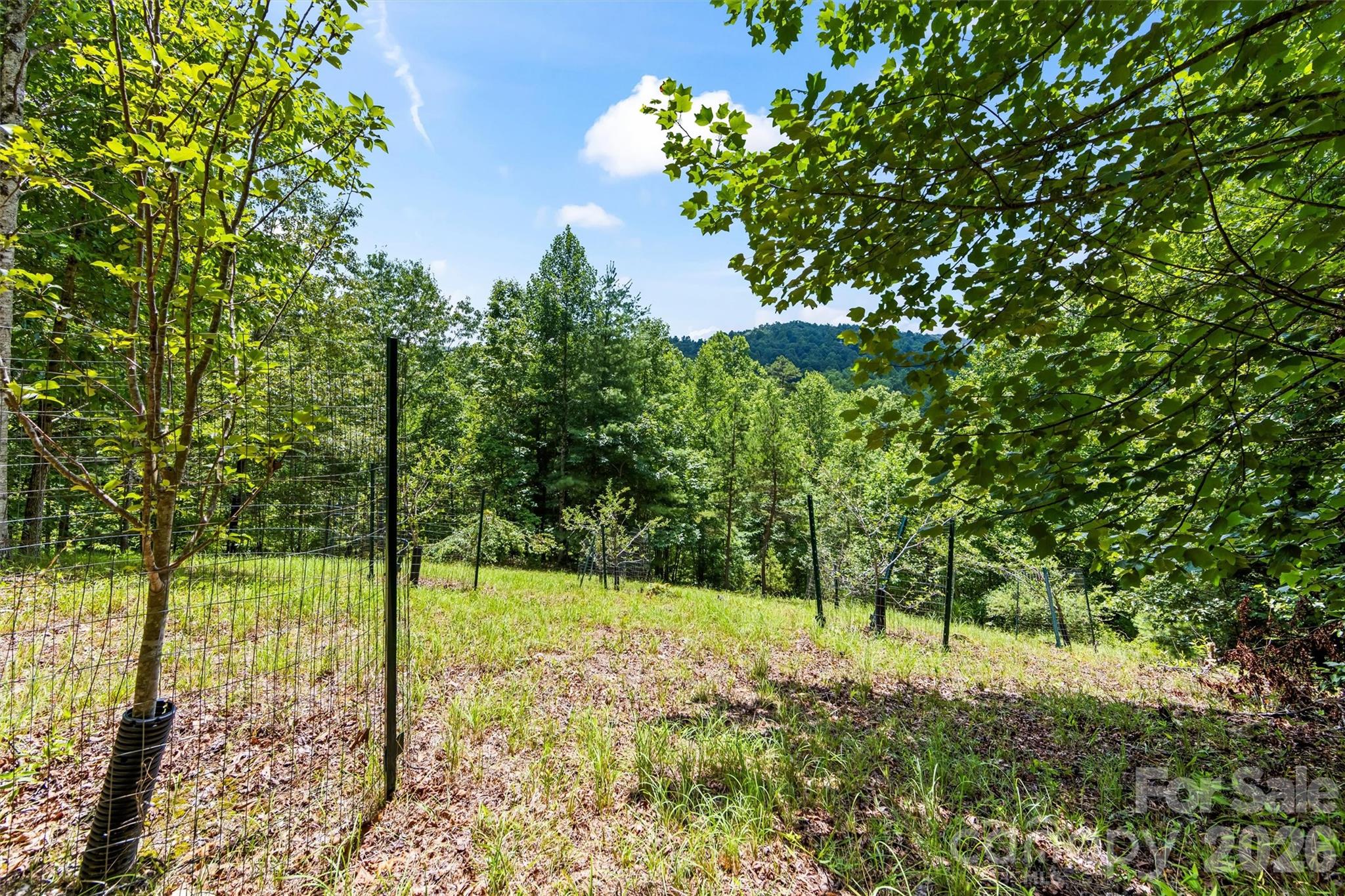 Lot 21 Big Raven Lane