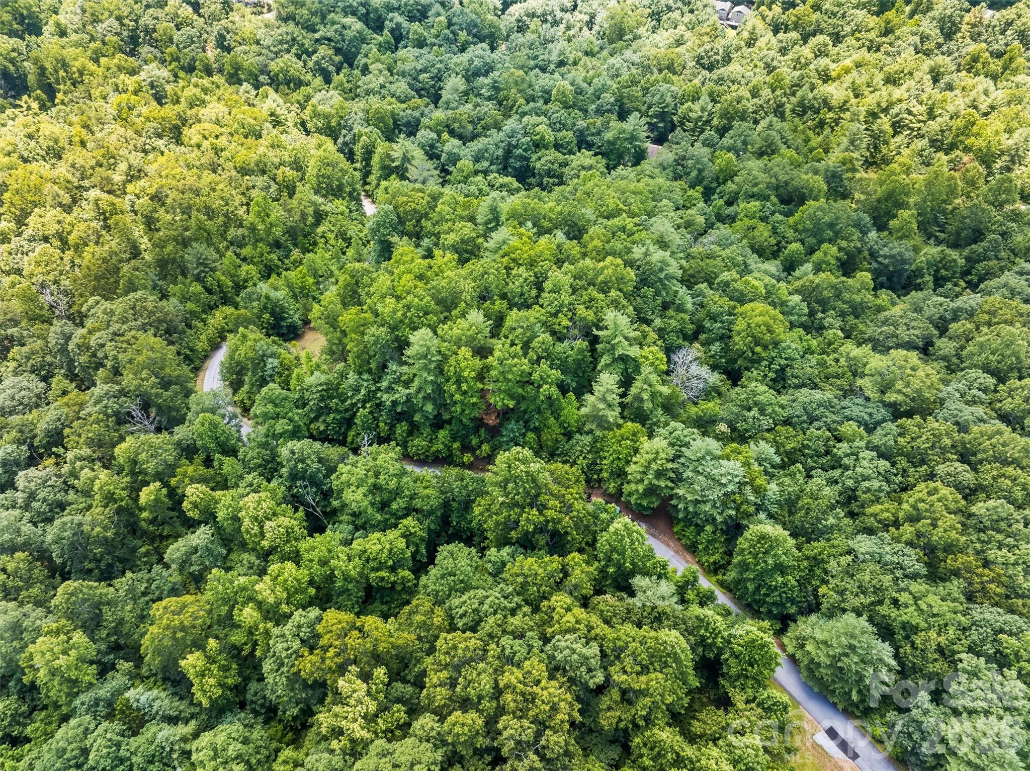 Lot 21 Big Raven Lane