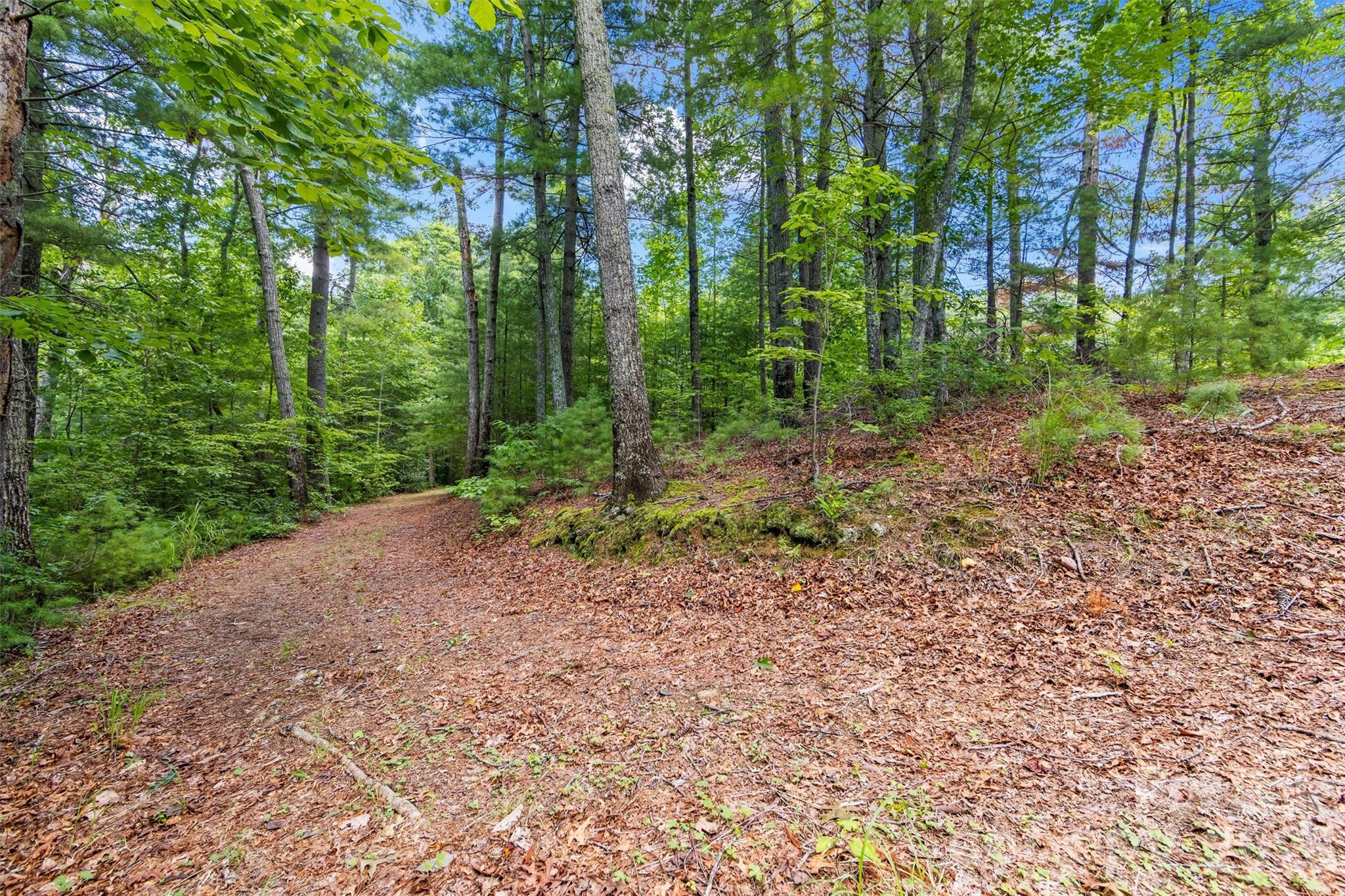 Lot 21 Big Raven Lane