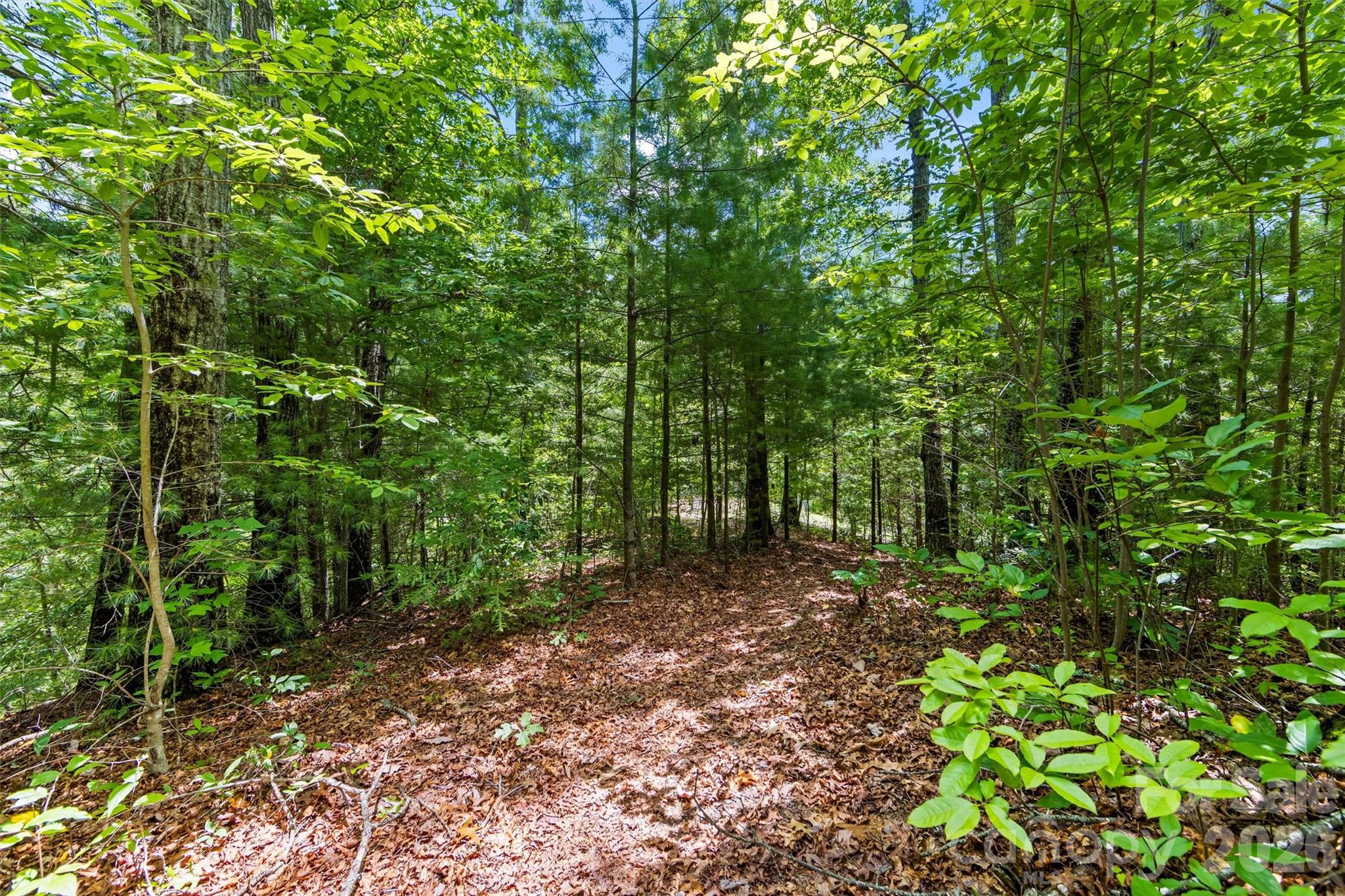Lot 21 Big Raven Lane