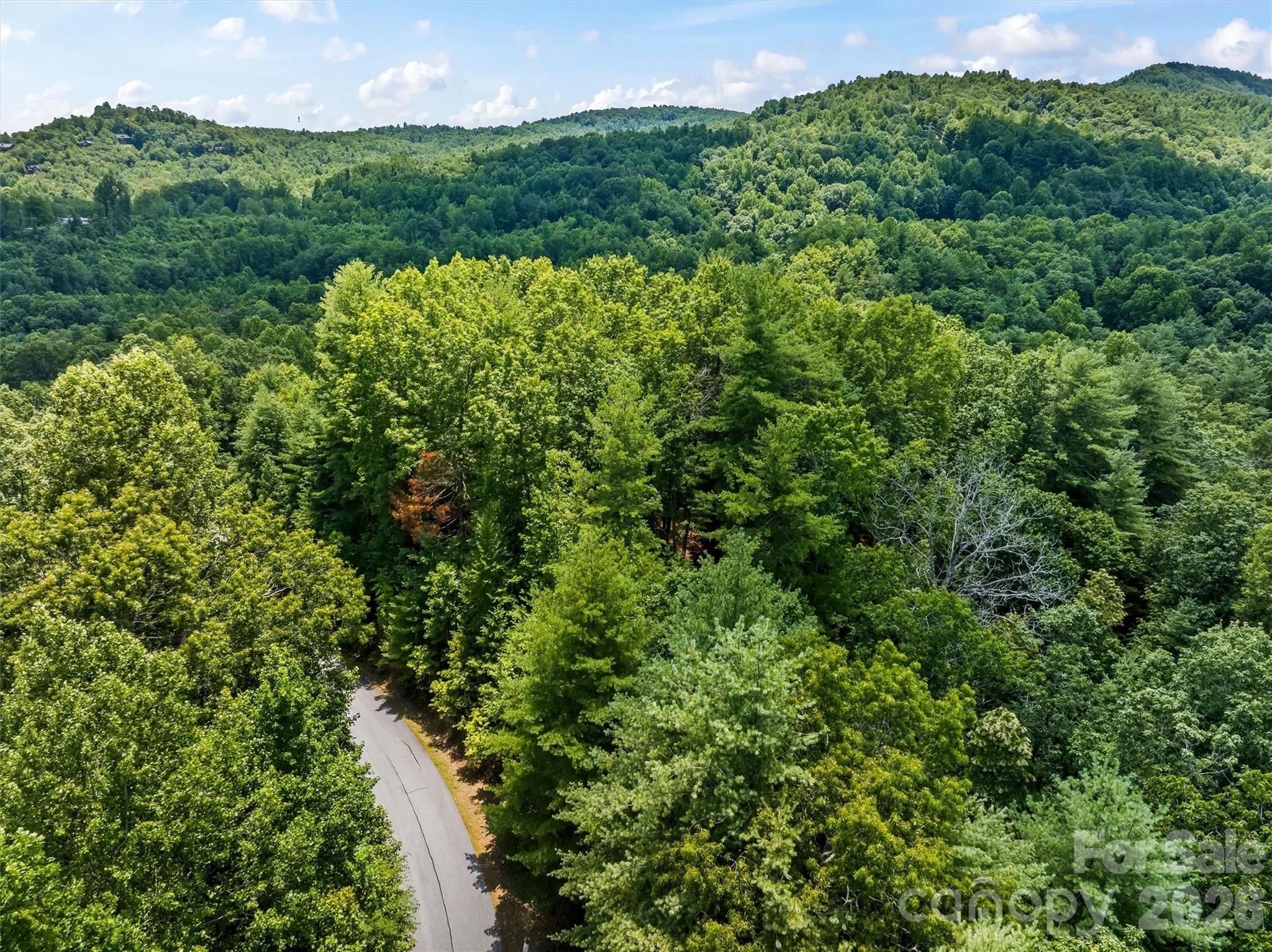 Lot 21 Big Raven Lane