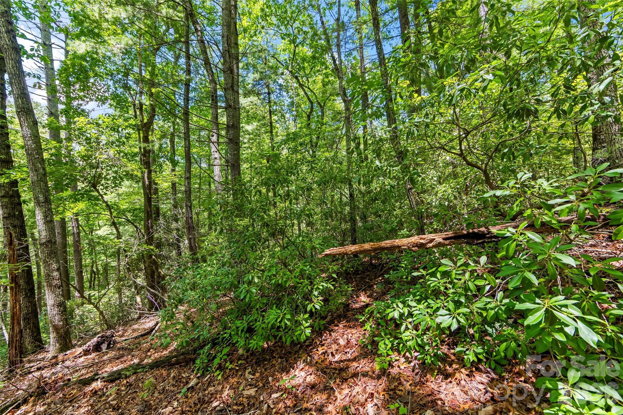 Lot 21 Big Raven Lane