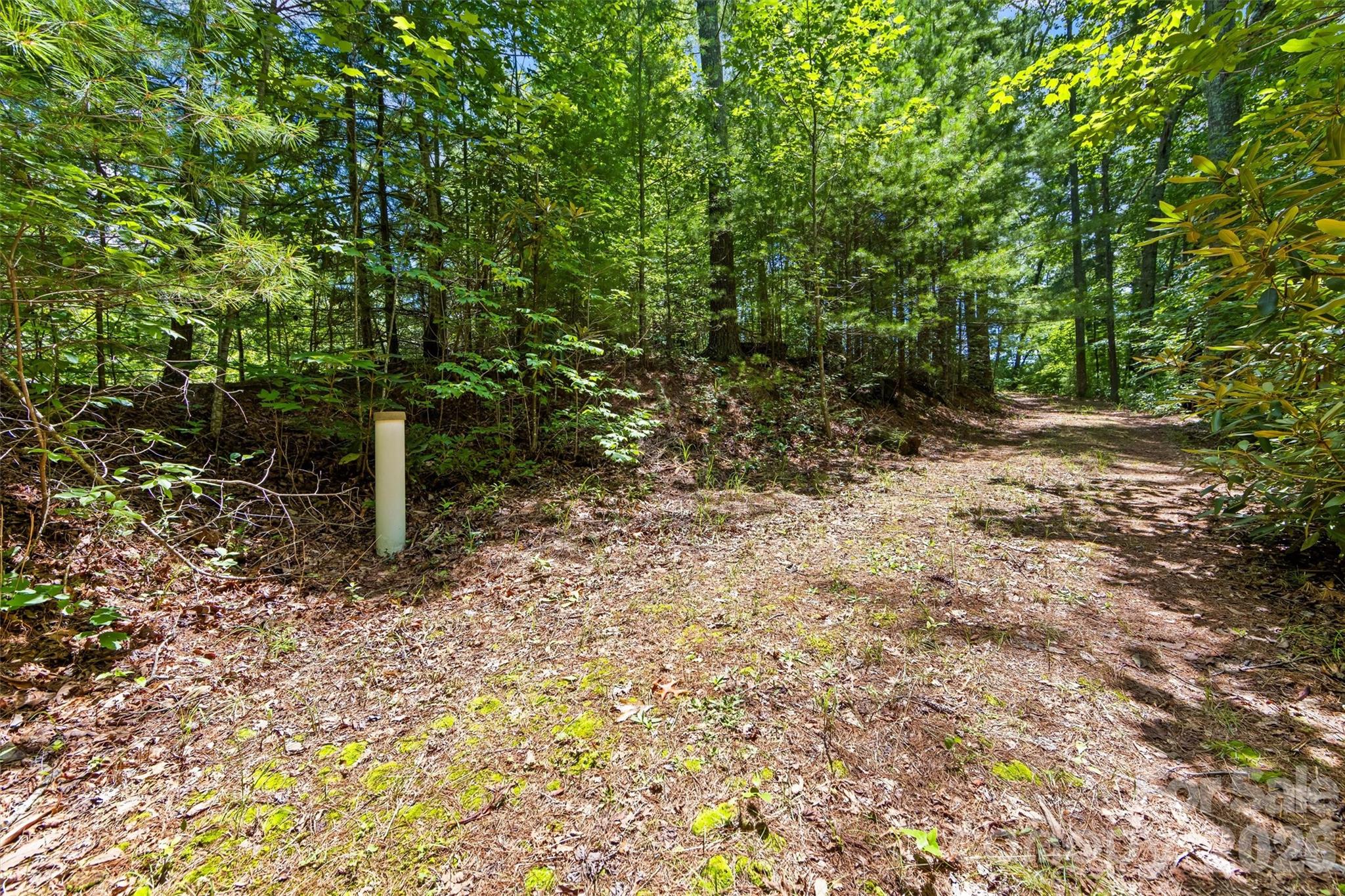 Lot 21 Big Raven Lane