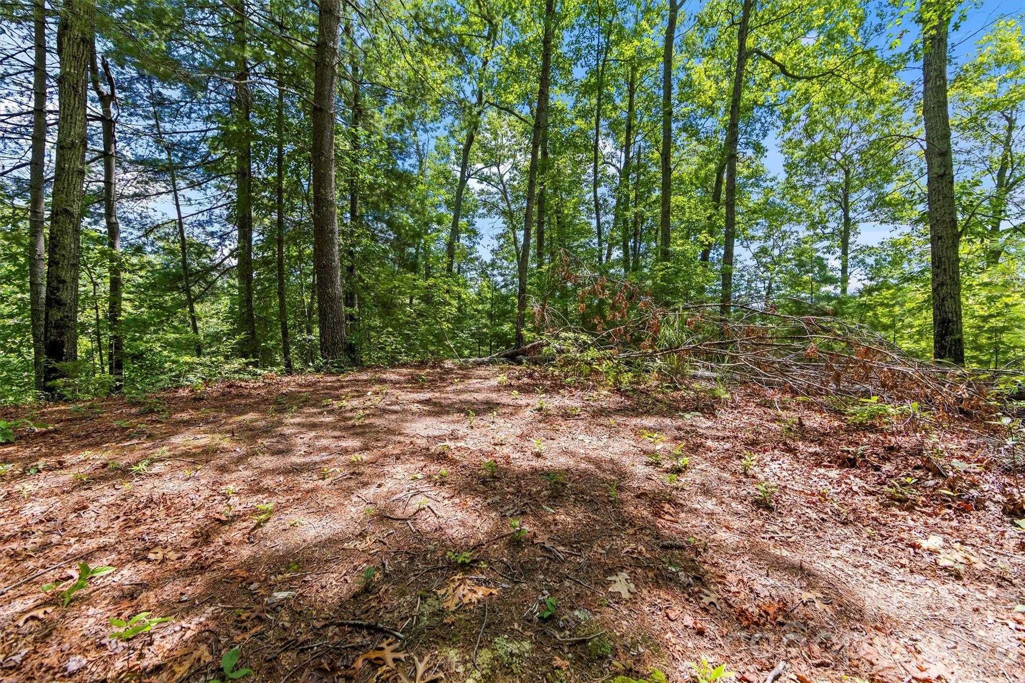 Lot 21 Big Raven Lane