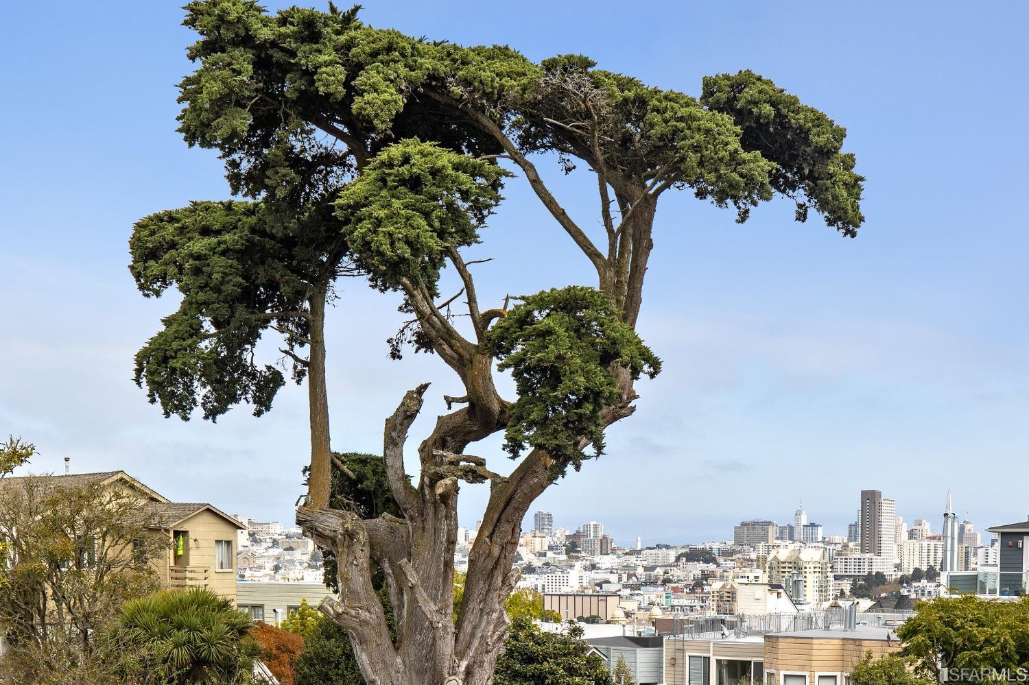 1864 Golden Gate Avenue