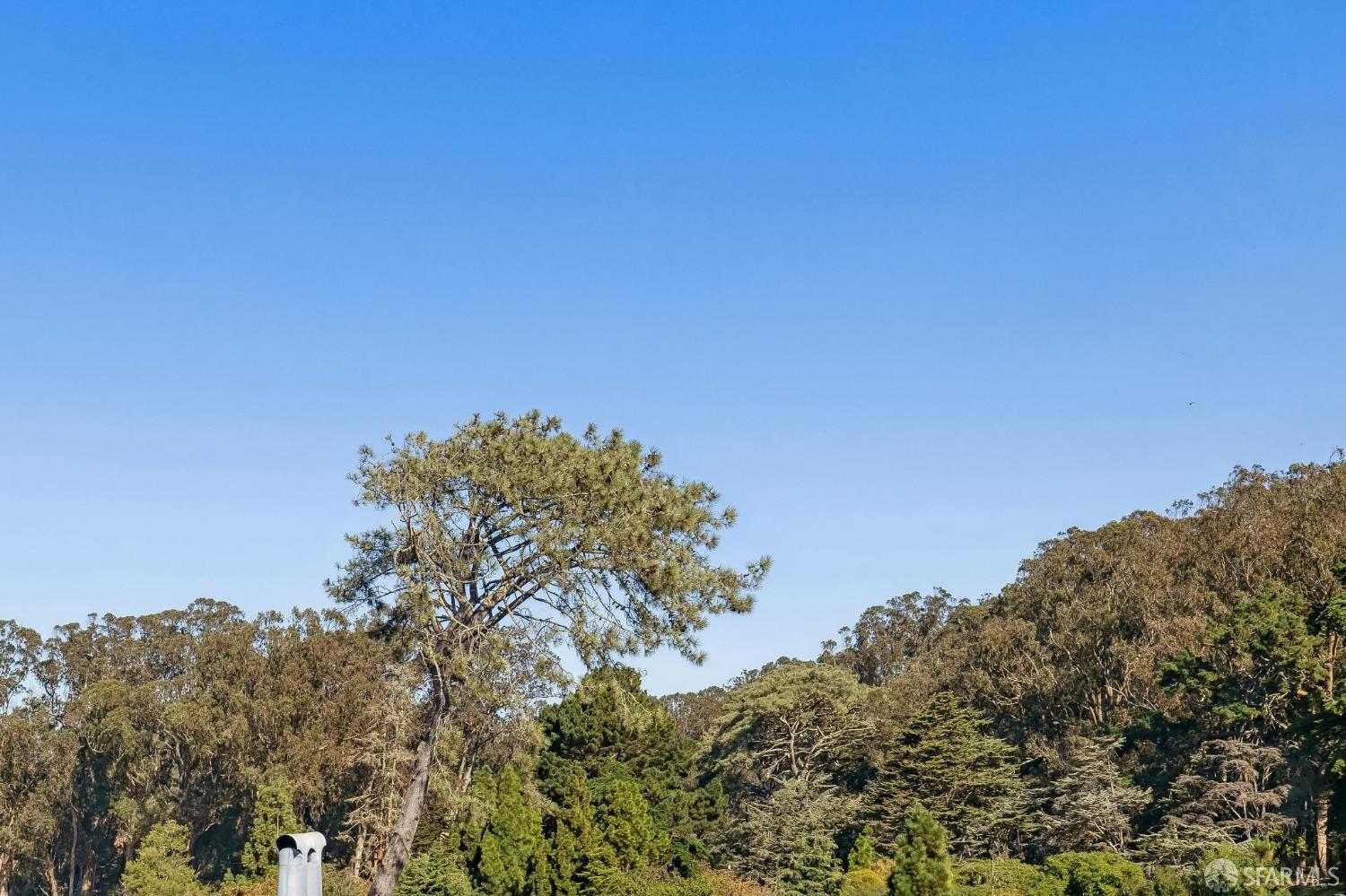 1217 20th Avenue # A