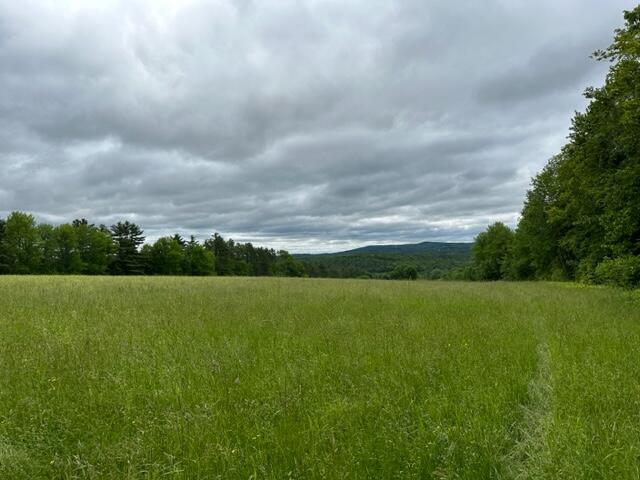 00 McLaughlin Road