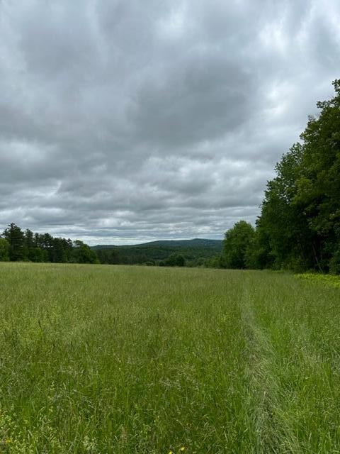 00 McLaughlin Road