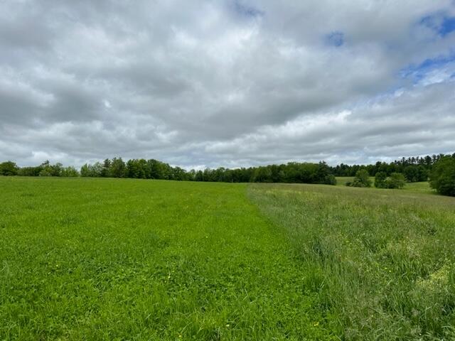 00 McLaughlin Road