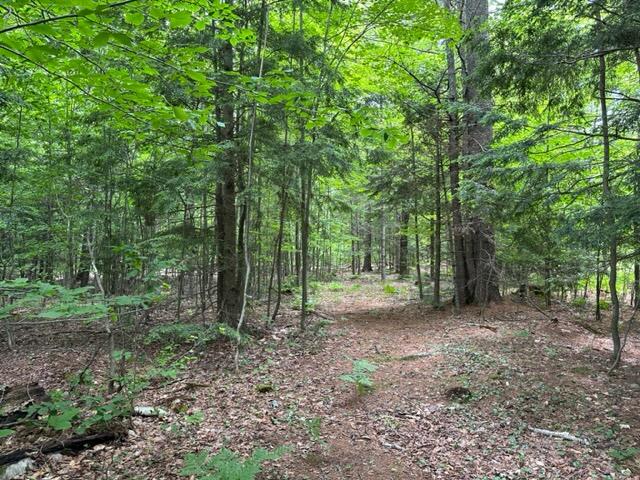 00 McLaughlin Road