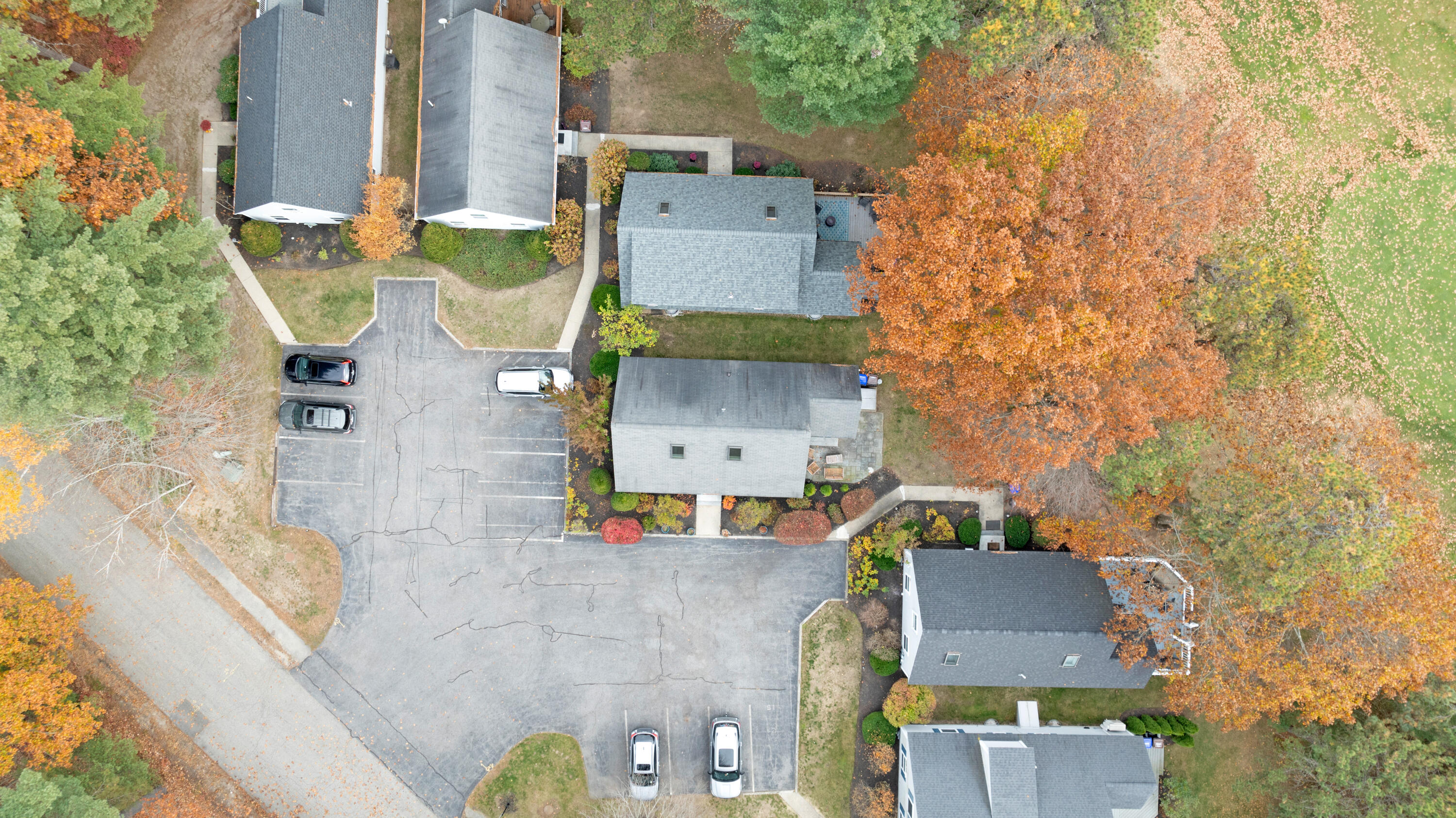 14 Pine Valley Road, 14
