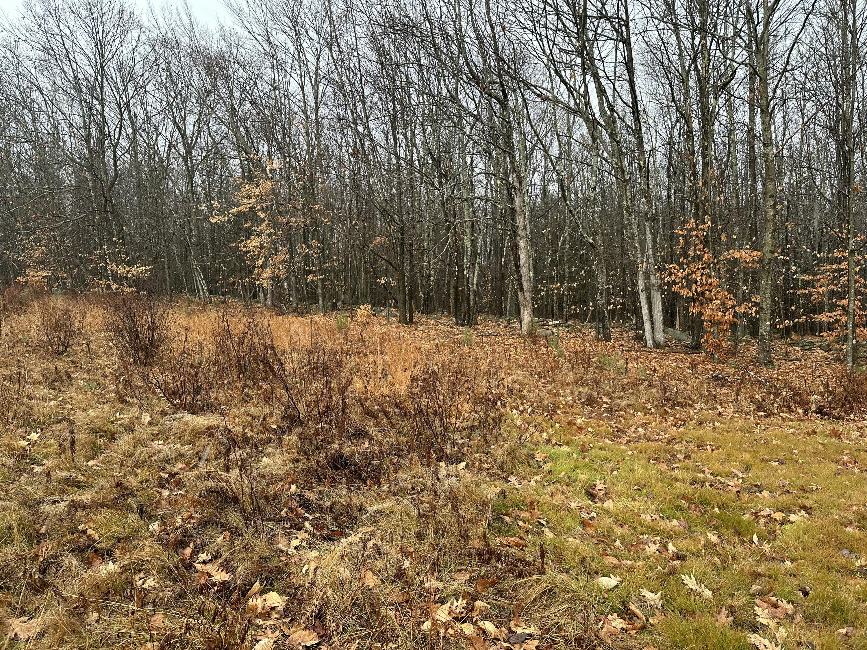 64 S Town Farm Road
