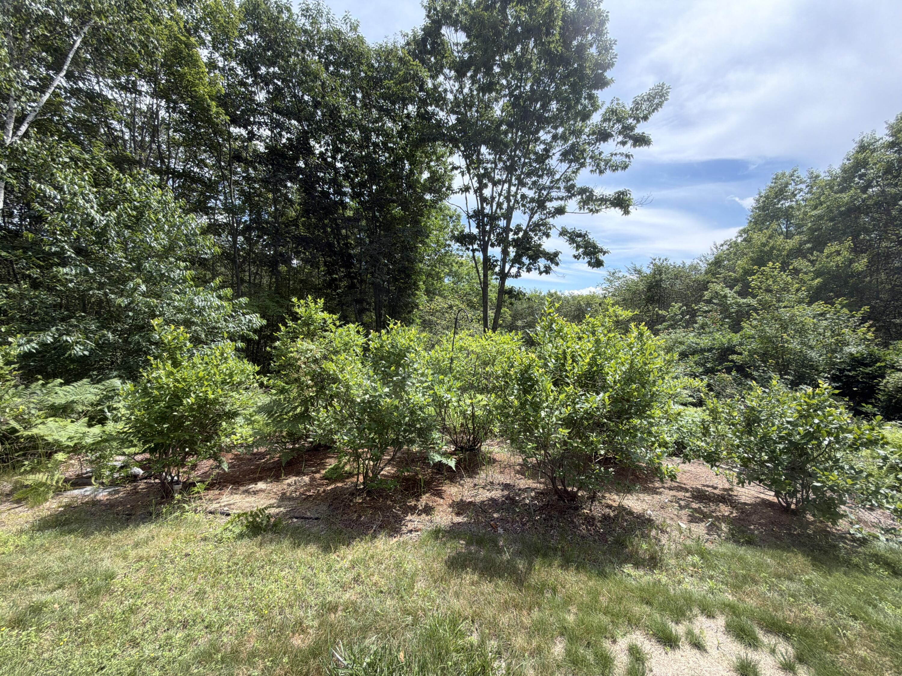 28 Oakledge Hills Road