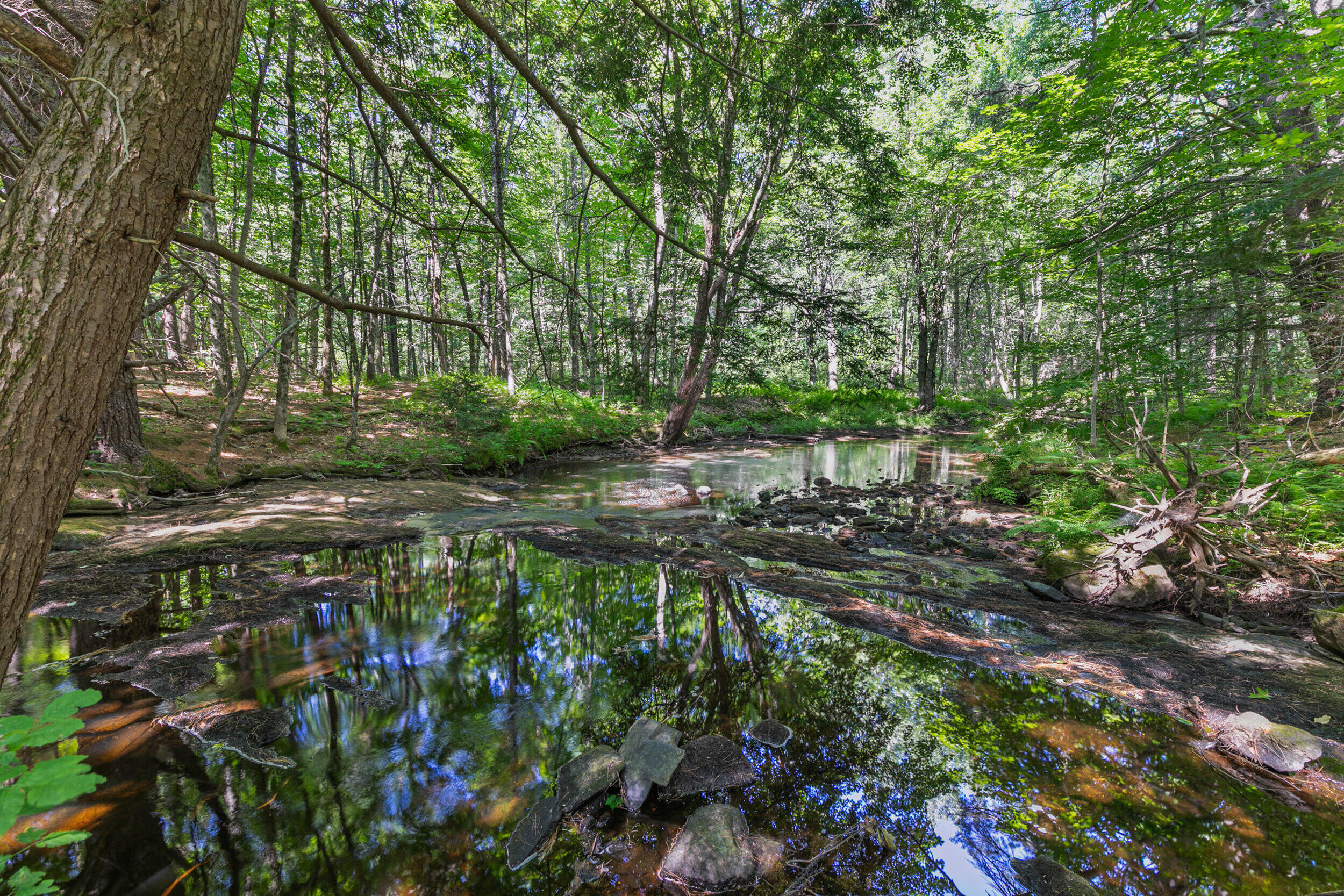 278 Falmouth Road