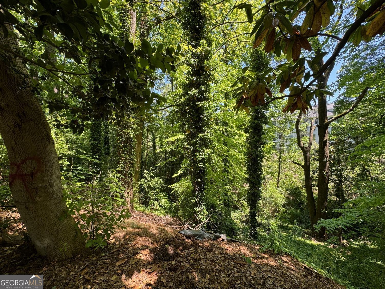 1285 Cumberland Road NE